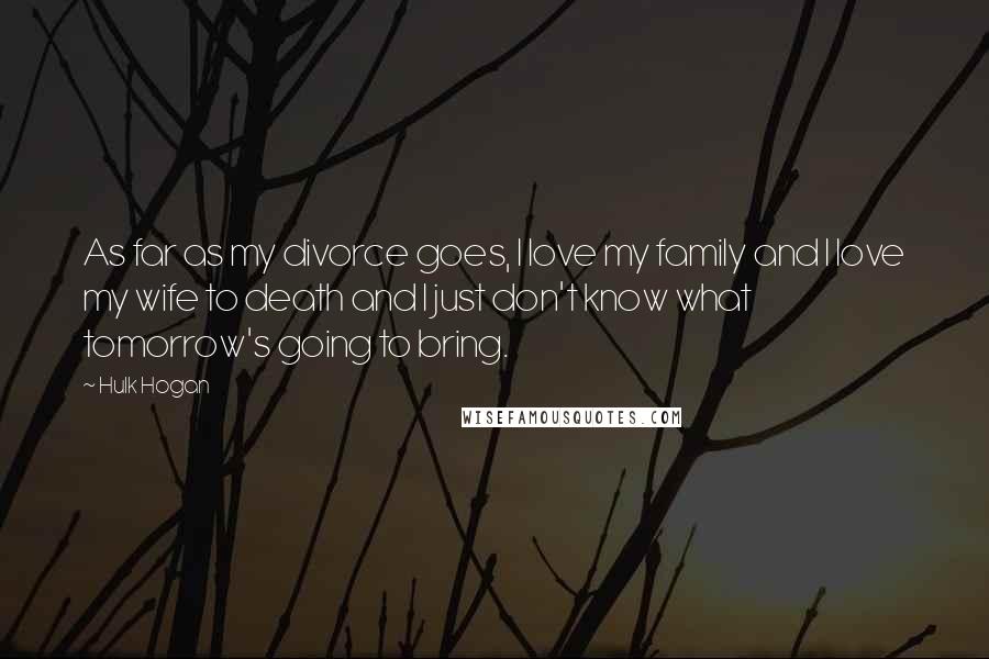 Hulk Hogan Quotes: As far as my divorce goes, I love my family and I love my wife to death and I just don't know what tomorrow's going to bring.