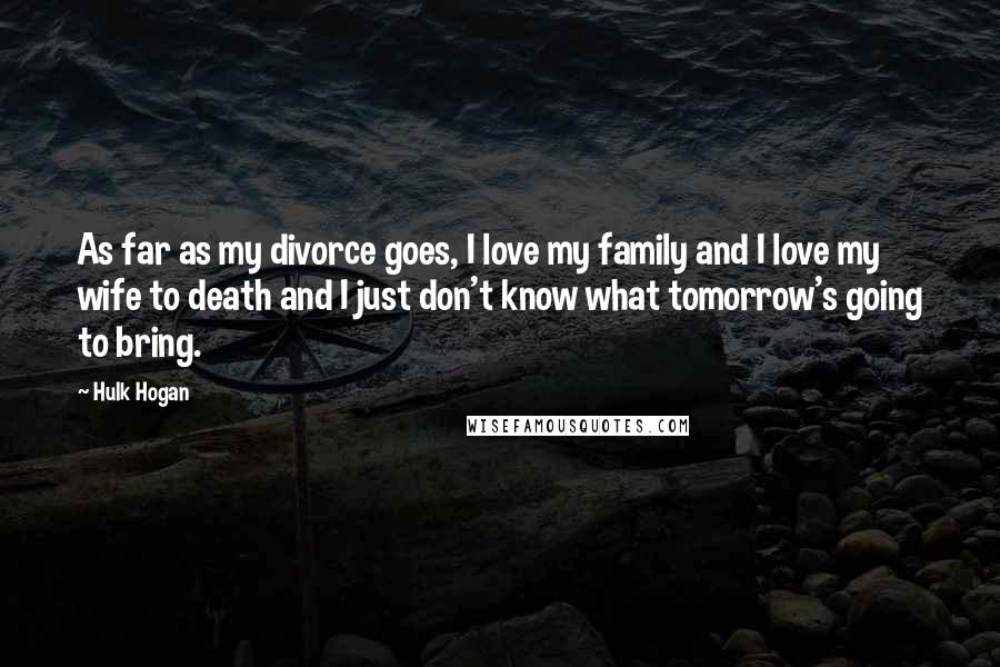 Hulk Hogan Quotes: As far as my divorce goes, I love my family and I love my wife to death and I just don't know what tomorrow's going to bring.