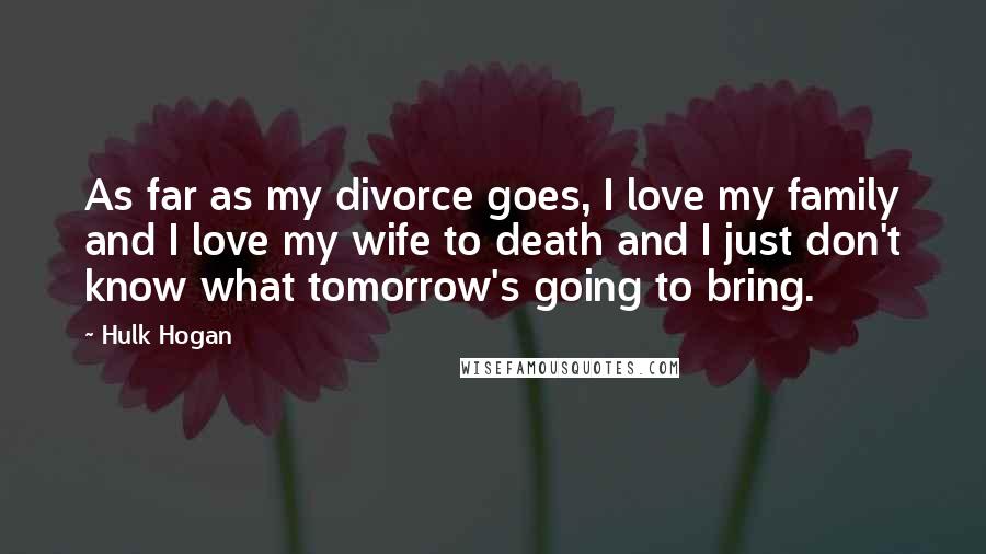 Hulk Hogan Quotes: As far as my divorce goes, I love my family and I love my wife to death and I just don't know what tomorrow's going to bring.