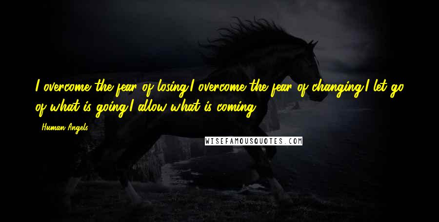 Human Angels Quotes: I overcome the fear of losing.I overcome the fear of changing.I let go of what is going.I allow what is coming.