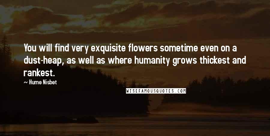 Hume Nisbet Quotes: You will find very exquisite flowers sometime even on a dust-heap, as well as where humanity grows thickest and rankest.