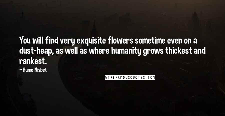 Hume Nisbet Quotes: You will find very exquisite flowers sometime even on a dust-heap, as well as where humanity grows thickest and rankest.