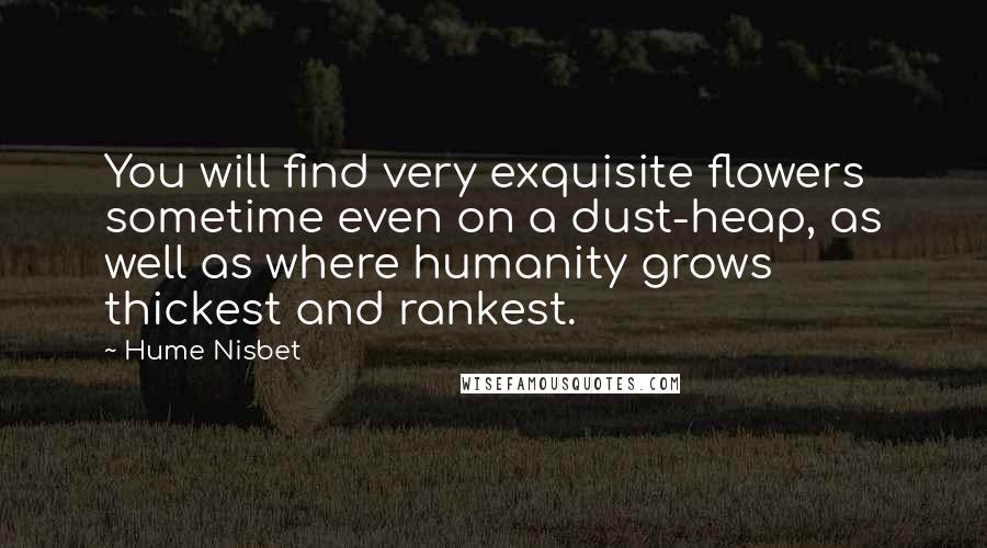 Hume Nisbet Quotes: You will find very exquisite flowers sometime even on a dust-heap, as well as where humanity grows thickest and rankest.
