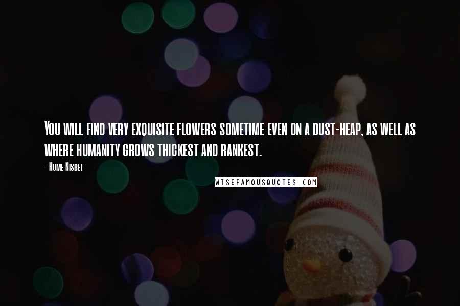 Hume Nisbet Quotes: You will find very exquisite flowers sometime even on a dust-heap, as well as where humanity grows thickest and rankest.