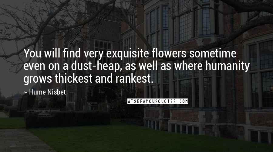 Hume Nisbet Quotes: You will find very exquisite flowers sometime even on a dust-heap, as well as where humanity grows thickest and rankest.