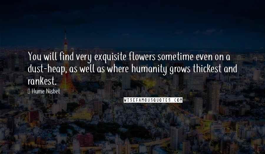 Hume Nisbet Quotes: You will find very exquisite flowers sometime even on a dust-heap, as well as where humanity grows thickest and rankest.