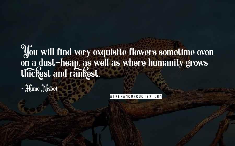 Hume Nisbet Quotes: You will find very exquisite flowers sometime even on a dust-heap, as well as where humanity grows thickest and rankest.