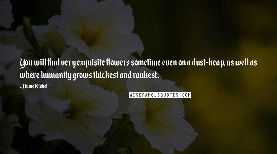 Hume Nisbet Quotes: You will find very exquisite flowers sometime even on a dust-heap, as well as where humanity grows thickest and rankest.