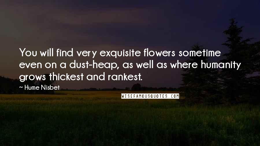 Hume Nisbet Quotes: You will find very exquisite flowers sometime even on a dust-heap, as well as where humanity grows thickest and rankest.