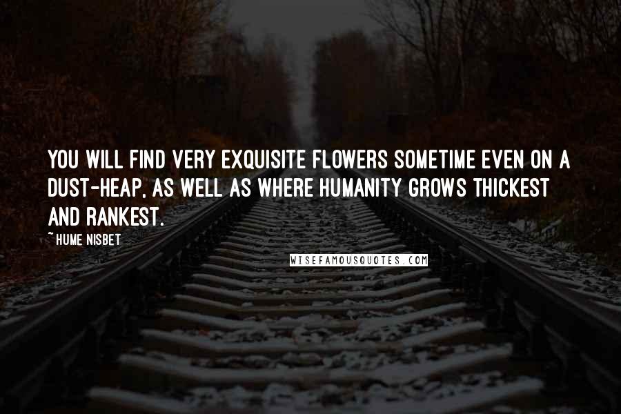 Hume Nisbet Quotes: You will find very exquisite flowers sometime even on a dust-heap, as well as where humanity grows thickest and rankest.