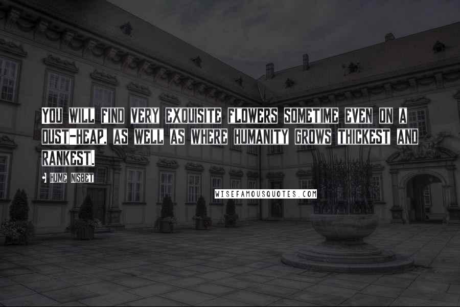 Hume Nisbet Quotes: You will find very exquisite flowers sometime even on a dust-heap, as well as where humanity grows thickest and rankest.