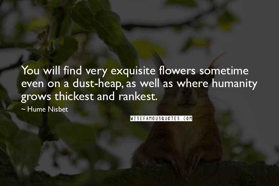 Hume Nisbet Quotes: You will find very exquisite flowers sometime even on a dust-heap, as well as where humanity grows thickest and rankest.