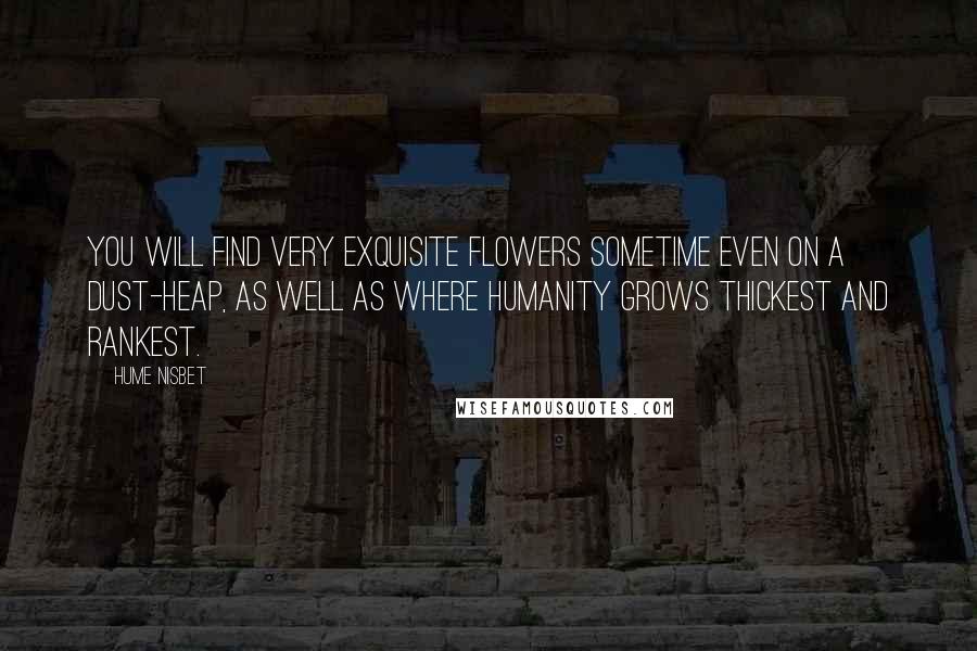 Hume Nisbet Quotes: You will find very exquisite flowers sometime even on a dust-heap, as well as where humanity grows thickest and rankest.