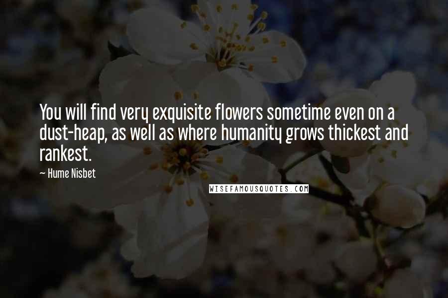 Hume Nisbet Quotes: You will find very exquisite flowers sometime even on a dust-heap, as well as where humanity grows thickest and rankest.