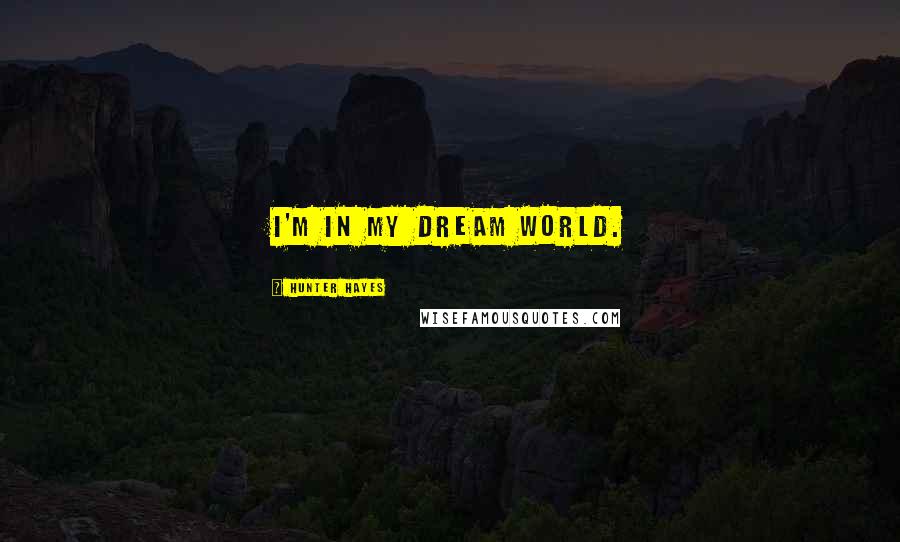 Hunter Hayes Quotes: I'm in my dream world.