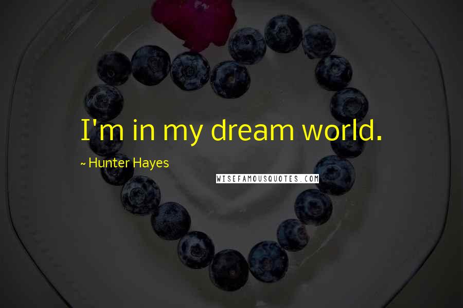 Hunter Hayes Quotes: I'm in my dream world.