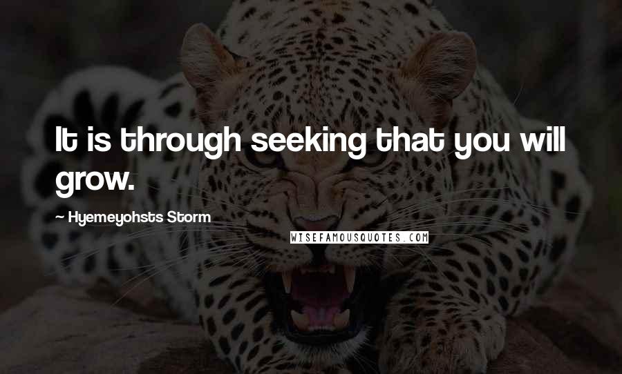 Hyemeyohsts Storm Quotes: It is through seeking that you will grow.