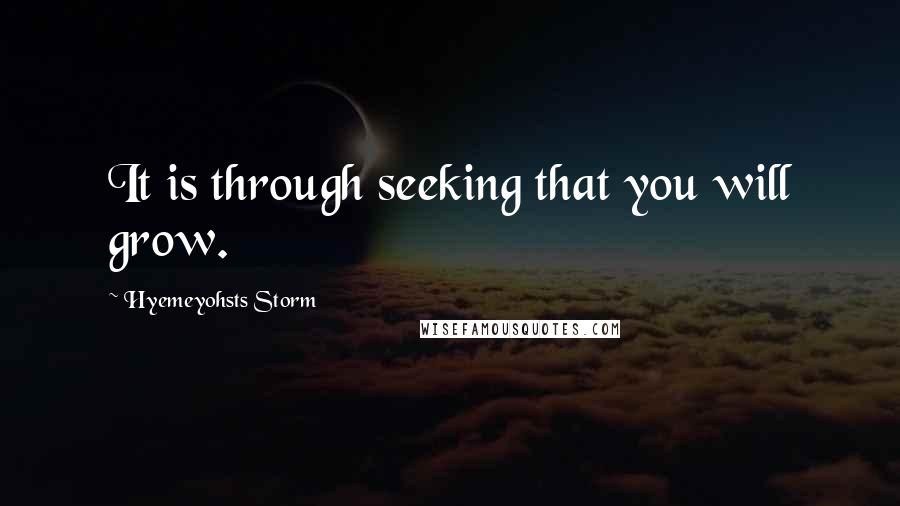 Hyemeyohsts Storm Quotes: It is through seeking that you will grow.