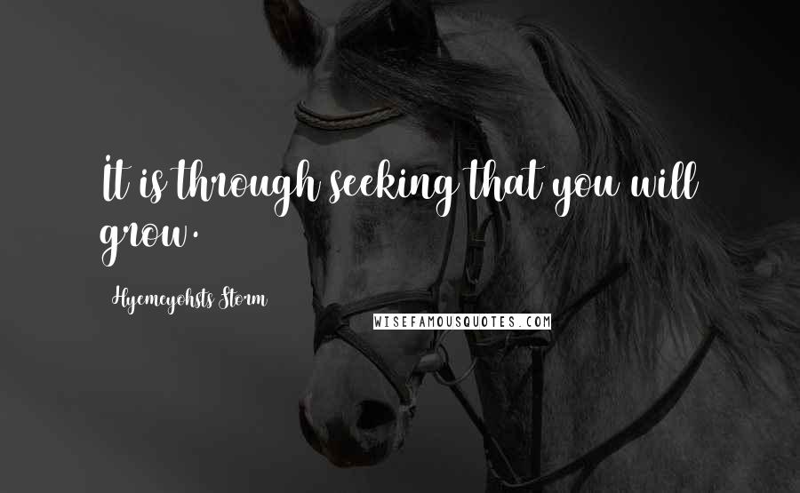 Hyemeyohsts Storm Quotes: It is through seeking that you will grow.