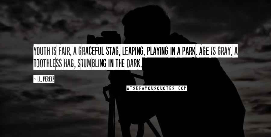 I.L. Peretz Quotes: Youth is fair, a graceful stag, Leaping, playing in a park. Age is gray, a toothless hag, Stumbling in the dark.