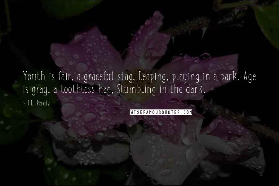 I.L. Peretz Quotes: Youth is fair, a graceful stag, Leaping, playing in a park. Age is gray, a toothless hag, Stumbling in the dark.