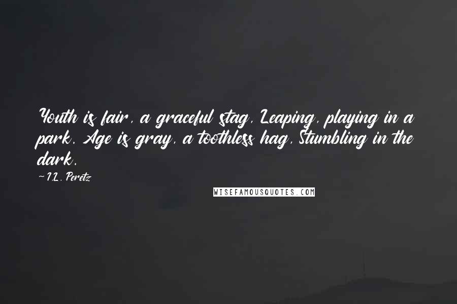 I.L. Peretz Quotes: Youth is fair, a graceful stag, Leaping, playing in a park. Age is gray, a toothless hag, Stumbling in the dark.