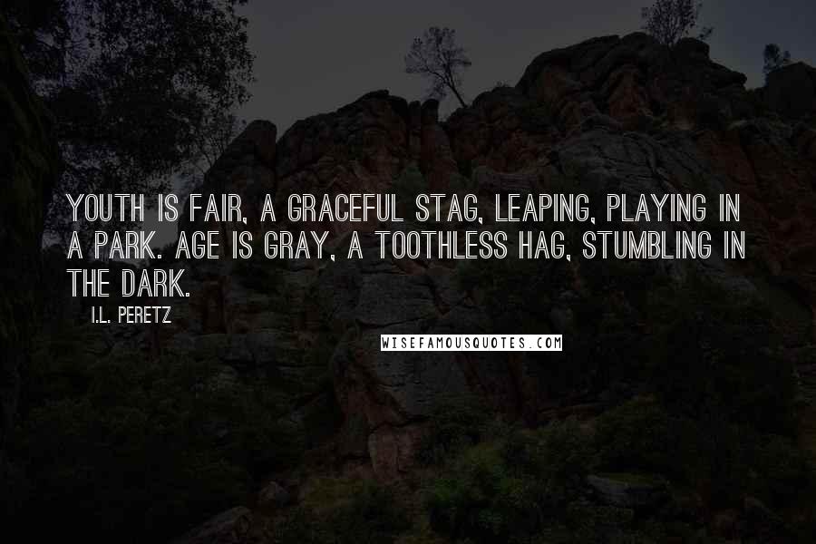 I.L. Peretz Quotes: Youth is fair, a graceful stag, Leaping, playing in a park. Age is gray, a toothless hag, Stumbling in the dark.