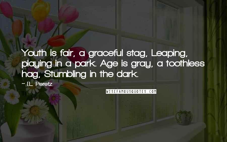 I.L. Peretz Quotes: Youth is fair, a graceful stag, Leaping, playing in a park. Age is gray, a toothless hag, Stumbling in the dark.