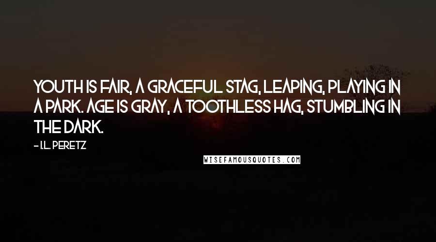 I.L. Peretz Quotes: Youth is fair, a graceful stag, Leaping, playing in a park. Age is gray, a toothless hag, Stumbling in the dark.