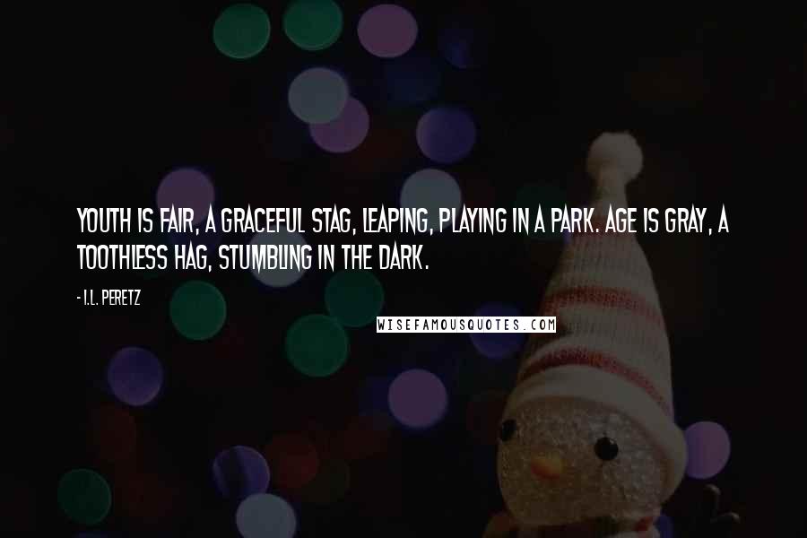 I.L. Peretz Quotes: Youth is fair, a graceful stag, Leaping, playing in a park. Age is gray, a toothless hag, Stumbling in the dark.