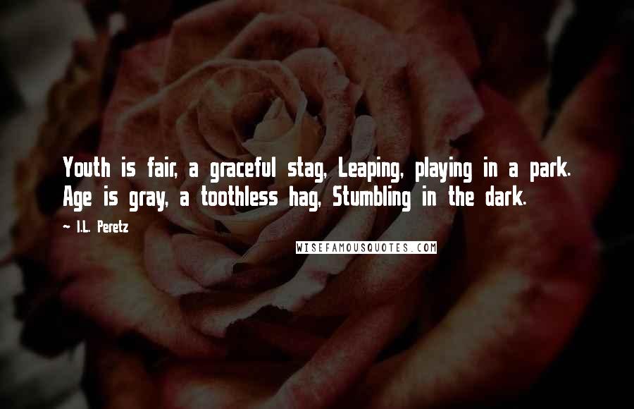 I.L. Peretz Quotes: Youth is fair, a graceful stag, Leaping, playing in a park. Age is gray, a toothless hag, Stumbling in the dark.