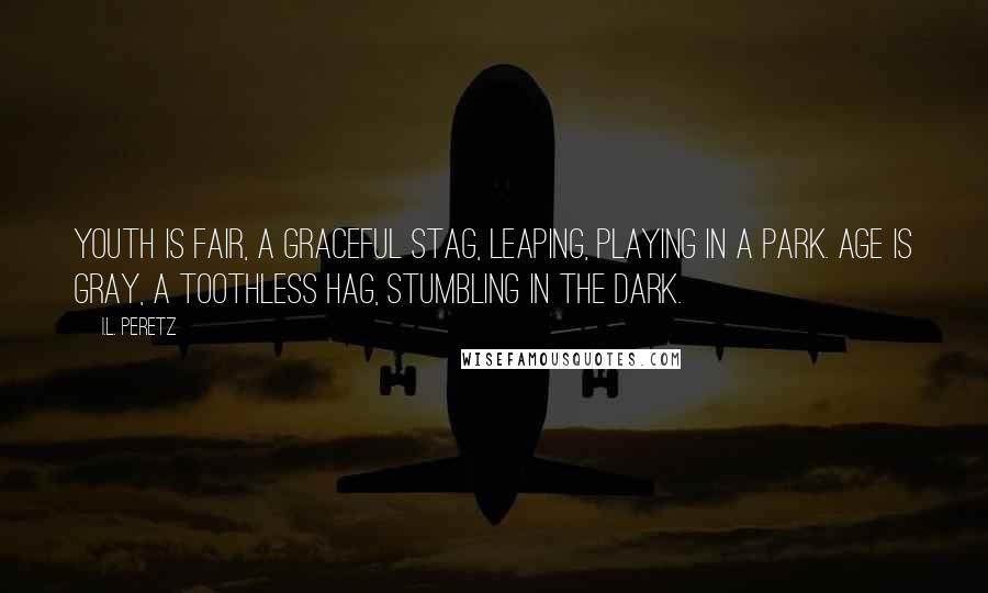 I.L. Peretz Quotes: Youth is fair, a graceful stag, Leaping, playing in a park. Age is gray, a toothless hag, Stumbling in the dark.