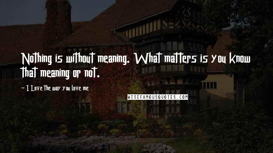 I Love The Way You Love Me Quotes: Nothing is without meaning. What matters is you know that meaning or not.