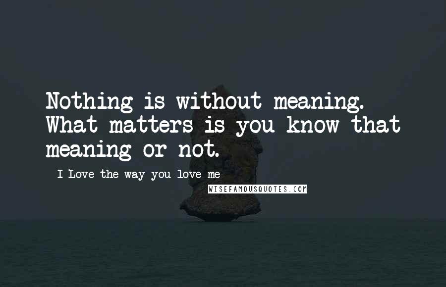 I Love The Way You Love Me Quotes: Nothing is without meaning. What matters is you know that meaning or not.