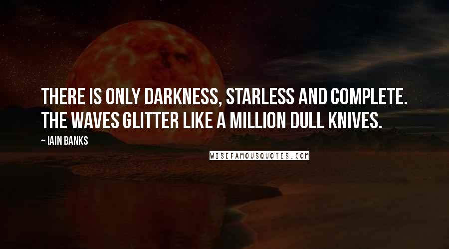 Iain Banks Quotes: There is only darkness, starless and complete. The waves glitter like a million dull knives.