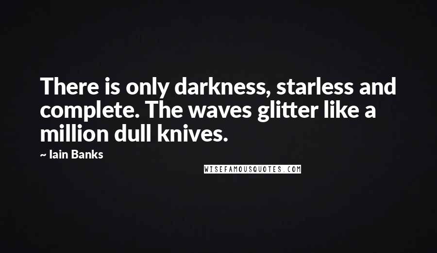 Iain Banks Quotes: There is only darkness, starless and complete. The waves glitter like a million dull knives.