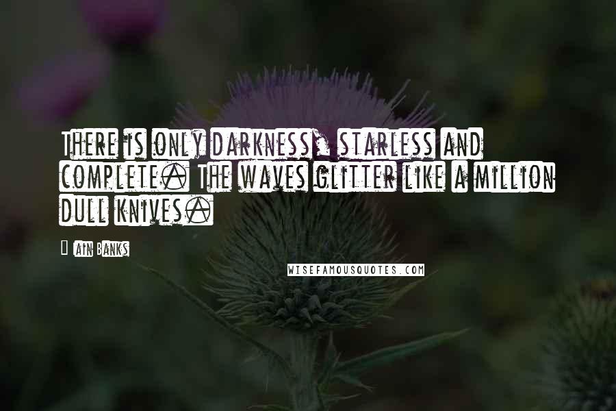 Iain Banks Quotes: There is only darkness, starless and complete. The waves glitter like a million dull knives.