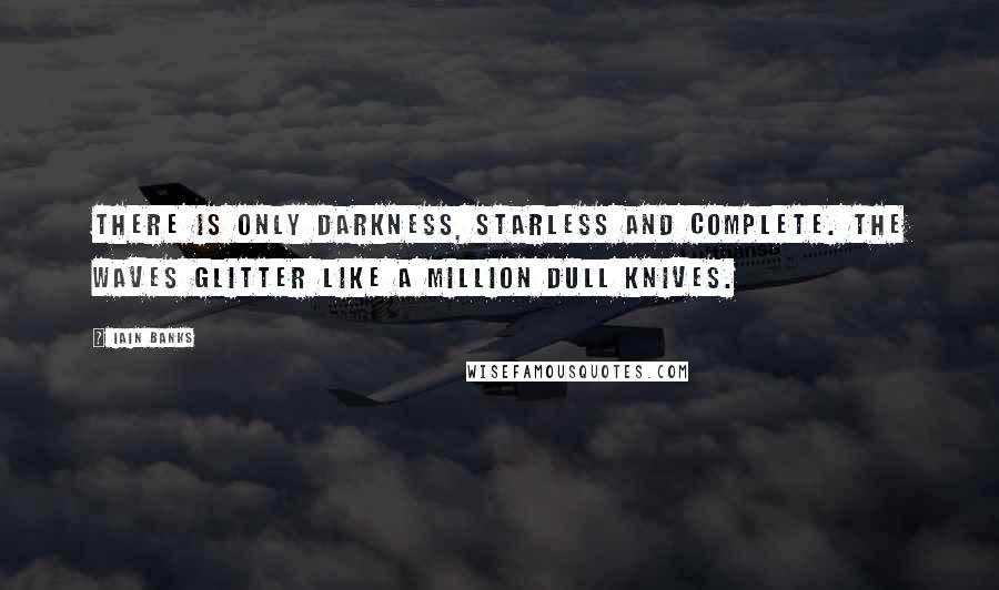Iain Banks Quotes: There is only darkness, starless and complete. The waves glitter like a million dull knives.