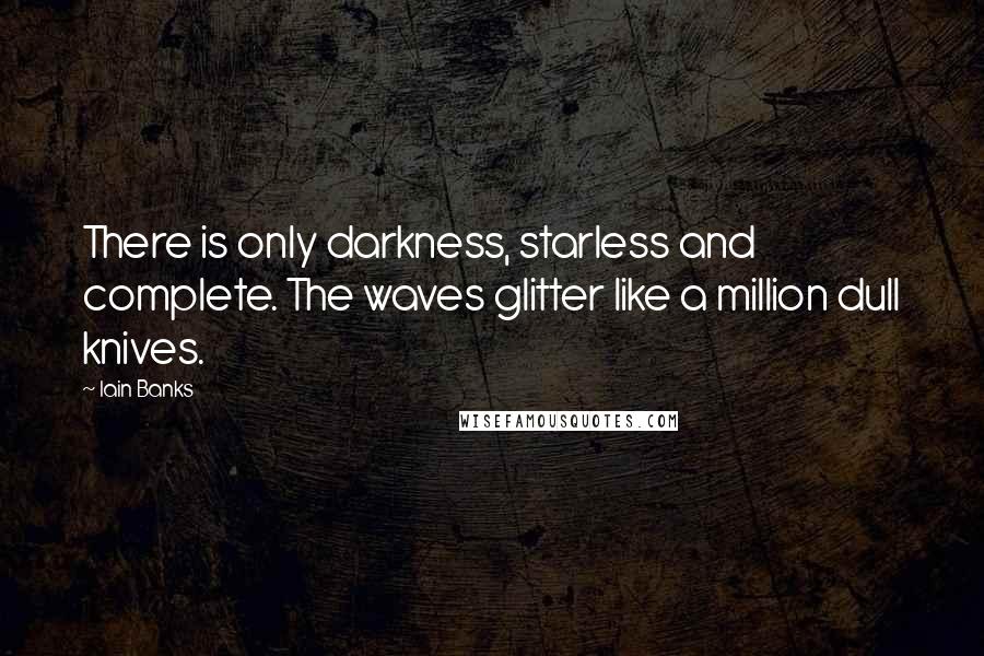 Iain Banks Quotes: There is only darkness, starless and complete. The waves glitter like a million dull knives.