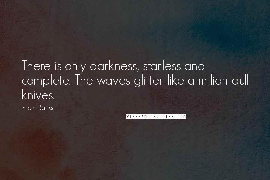 Iain Banks Quotes: There is only darkness, starless and complete. The waves glitter like a million dull knives.