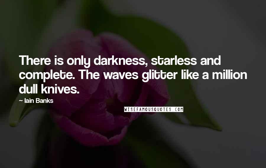 Iain Banks Quotes: There is only darkness, starless and complete. The waves glitter like a million dull knives.