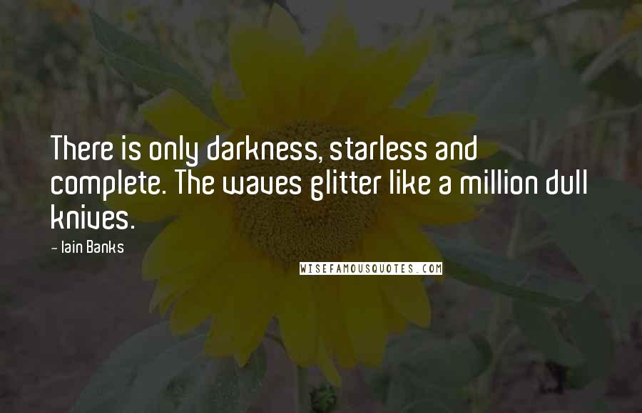 Iain Banks Quotes: There is only darkness, starless and complete. The waves glitter like a million dull knives.