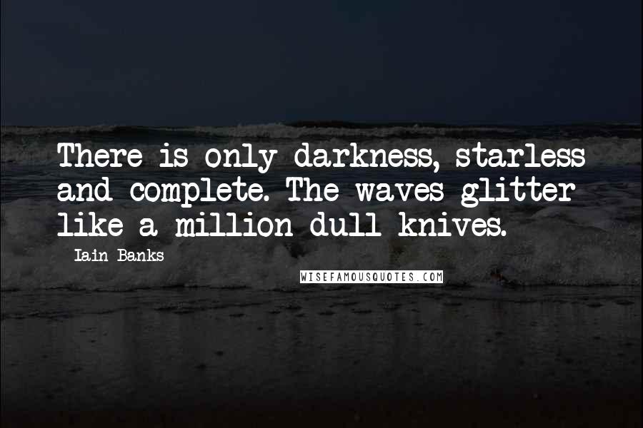 Iain Banks Quotes: There is only darkness, starless and complete. The waves glitter like a million dull knives.