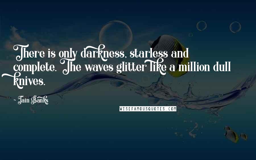 Iain Banks Quotes: There is only darkness, starless and complete. The waves glitter like a million dull knives.