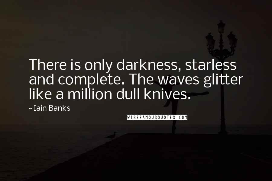 Iain Banks Quotes: There is only darkness, starless and complete. The waves glitter like a million dull knives.