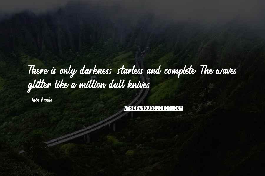 Iain Banks Quotes: There is only darkness, starless and complete. The waves glitter like a million dull knives.