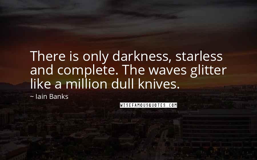 Iain Banks Quotes: There is only darkness, starless and complete. The waves glitter like a million dull knives.