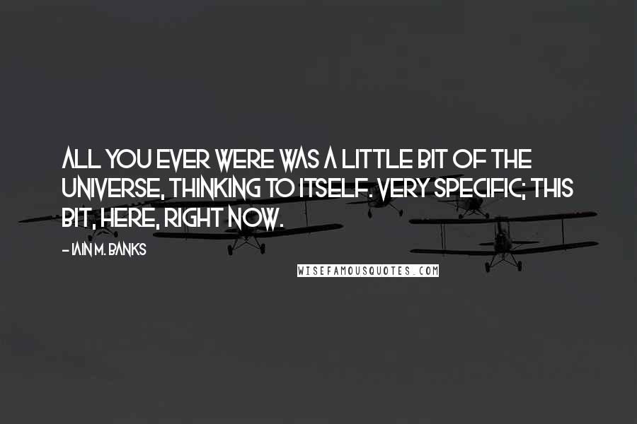 Iain M. Banks Quotes: All you ever were was a little bit of the universe, thinking to itself. Very specific; this bit, here, right now.