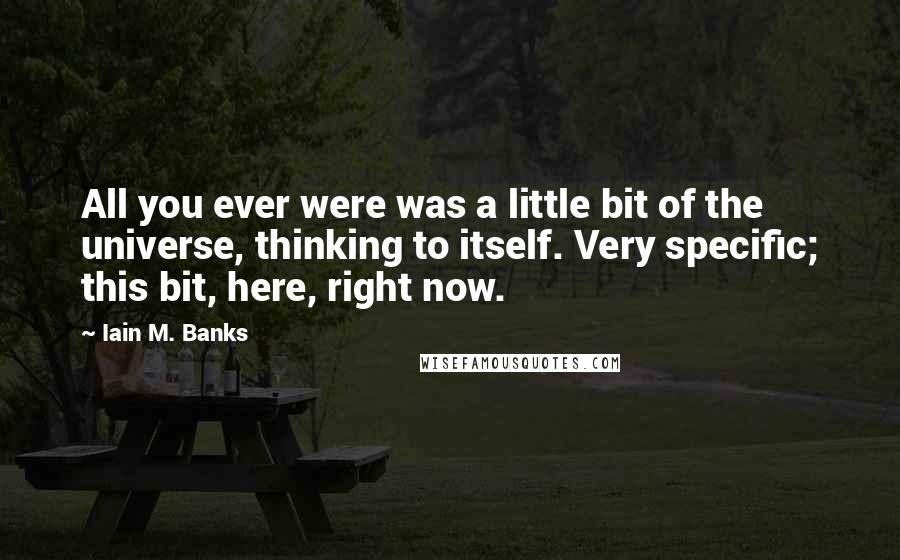 Iain M. Banks Quotes: All you ever were was a little bit of the universe, thinking to itself. Very specific; this bit, here, right now.