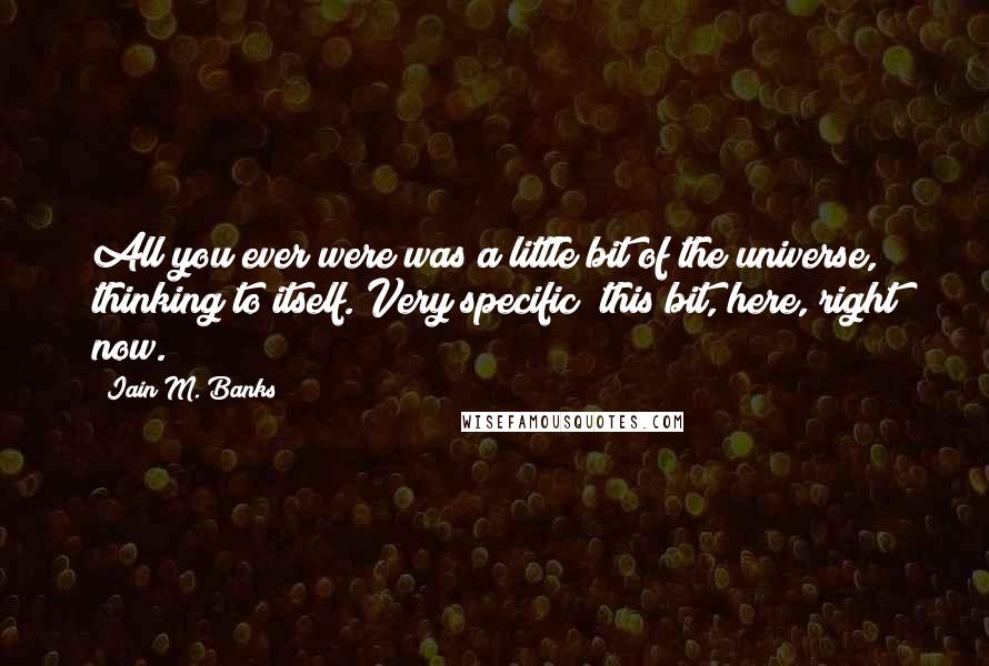 Iain M. Banks Quotes: All you ever were was a little bit of the universe, thinking to itself. Very specific; this bit, here, right now.